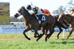 Black Caviar Missing from 2013 Newmarket Handicap First Acceptances