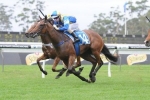 2013 VRC Sires’ Produce Stakes Field Released