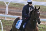 2015 Coolmore Stud Stakes Hope Super One Sees Straight