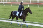 2015 Melbourne Cup Favourite Fame Game Can Deliver