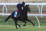 2015 Melbourne Cup Raiders Out to Emulate Vintage Crop