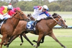 Indarra Too Good in City Of Greater Dandenong Stakes