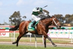 Derby Dream Alive for Geelong Classic Winner Captain Duffy