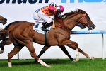 Whitefriars wins the 2011 Australia Stakes – Moonee Valley Race 6 Results