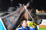 BRC Chief Humbled to Have Black Caviar