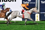 Three Group 1’s Lie At The End Of The Rainbow –  Stutt Stakes 2011 Results