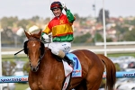 Fairy Tales for Happy Trails in 2012 Cox Plate?