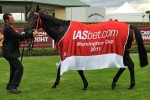 2011 Adelaide Cup Next up for Mornington Cup Winner Guyno