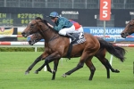 Foxwedge To Fight for 2012 William Reid Stakes Win