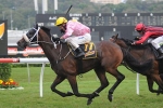 Stand To Gain wins wet Sydney Cup