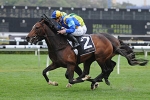 It’s A Dundeel Books Derby Run with 2012 Spring Champion Stakes Win