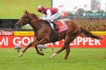 Sepoy Tops Golden Rose 2011 Odds