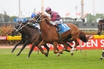 2011 Queens Cup Result – Waller Strikes Again With Syreon