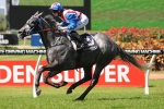 Takeover Target Stakes 2013 Odds – Top Three Hard to Split