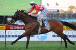 Fiery Kiwi Set to Bolt to Another Brissy Win
