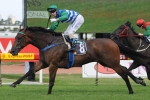 Melito To Dispel History In 2011 Chipping Norton Stakes