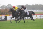 Zavite Earns Crack at 2011 The BMW