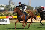 Begg’s 2011 Cox Plate Hopes Pass 1st Trial