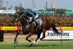 Satin Shoes Leads Small Reisling Stakes Field on way to Golden Slipper 2011