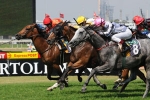 Warpath Charges To Rosehill Race 4 Win
