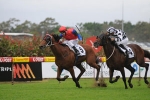 Bid Spotter Claims Upset Win in 2011 NE Manion Cup – Rosehill Race 8 Results
