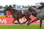 Brazilian Pulse Wins 2011 Keith F Nolan Classic – Rosehill Guineas Day Race 3 Results