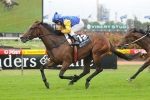 Rosehill Guineas Day Race 6 Results – Galizani Wins 2011 Epona Stakes
