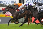 Zingaling Wins Rosehill Race 9 – 2011 Birthday Card Stakes Results