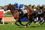 Rawiller Ready for More Joy in 2012 Doncaster Mile