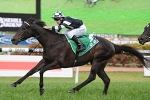 Rawiller Rates Urban Groove for 2012 Flight Stakes Win