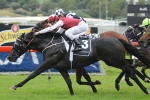 Torio’s Guineas Quest on Track