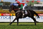 Expressway Stakes Odds 2011