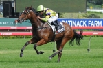 AJC Derby Day 2011 – Sapphire Stakes Nominations