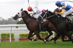 Race 4 Results – 2011 Chipping Norton Stakes Day