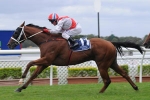 2011 Chipping Norton Stakes Day – Liverpool City Cup Results