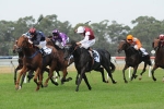 Warwick Farm Results – Turnpoint Randwick Guineas Day 2011