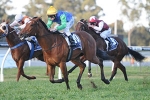 2012 Coolmore Stud Stakes Mission for Nechita