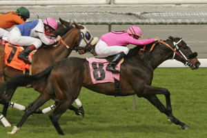 Danehill Winner The Next Episode Firms into Coolmore Stud Stakes 2026 Favouritism