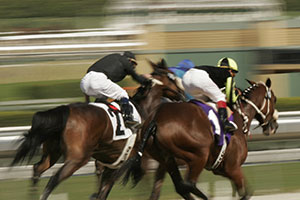 Lady Shenandoah Reigns Again with Dominant Empire Rose Stakes 2026 Victory