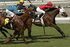 Waller Wins 2026 Victoria Derby with Stormy Marco