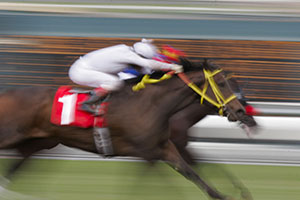 The Next Episode Salutes for Punters in Coolmore Stud Stakes 2026 Results