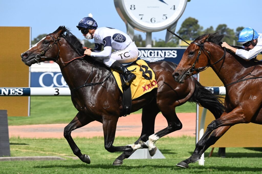 Overpass (Photo: Steve Hart) | Races.com.au