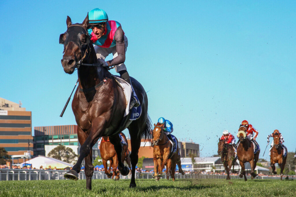 2024 Toorak Handicap winner Antino