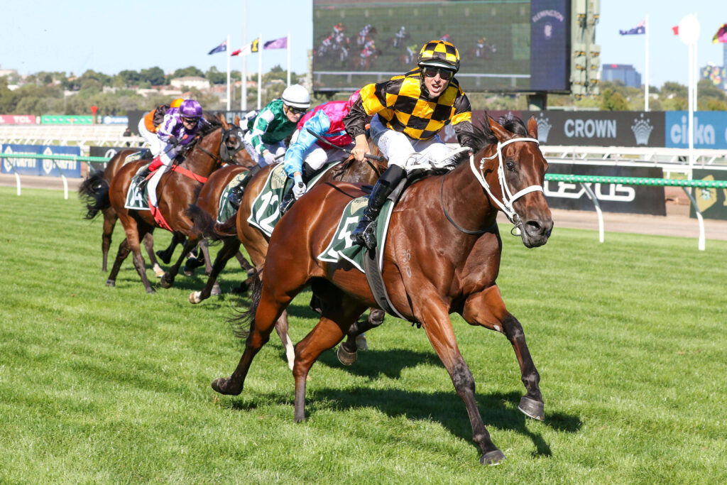 2025 Newmarket Handicap winner Joliestar