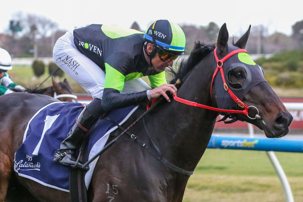 2025 PB Lawrence Stakes winner Private Eye
