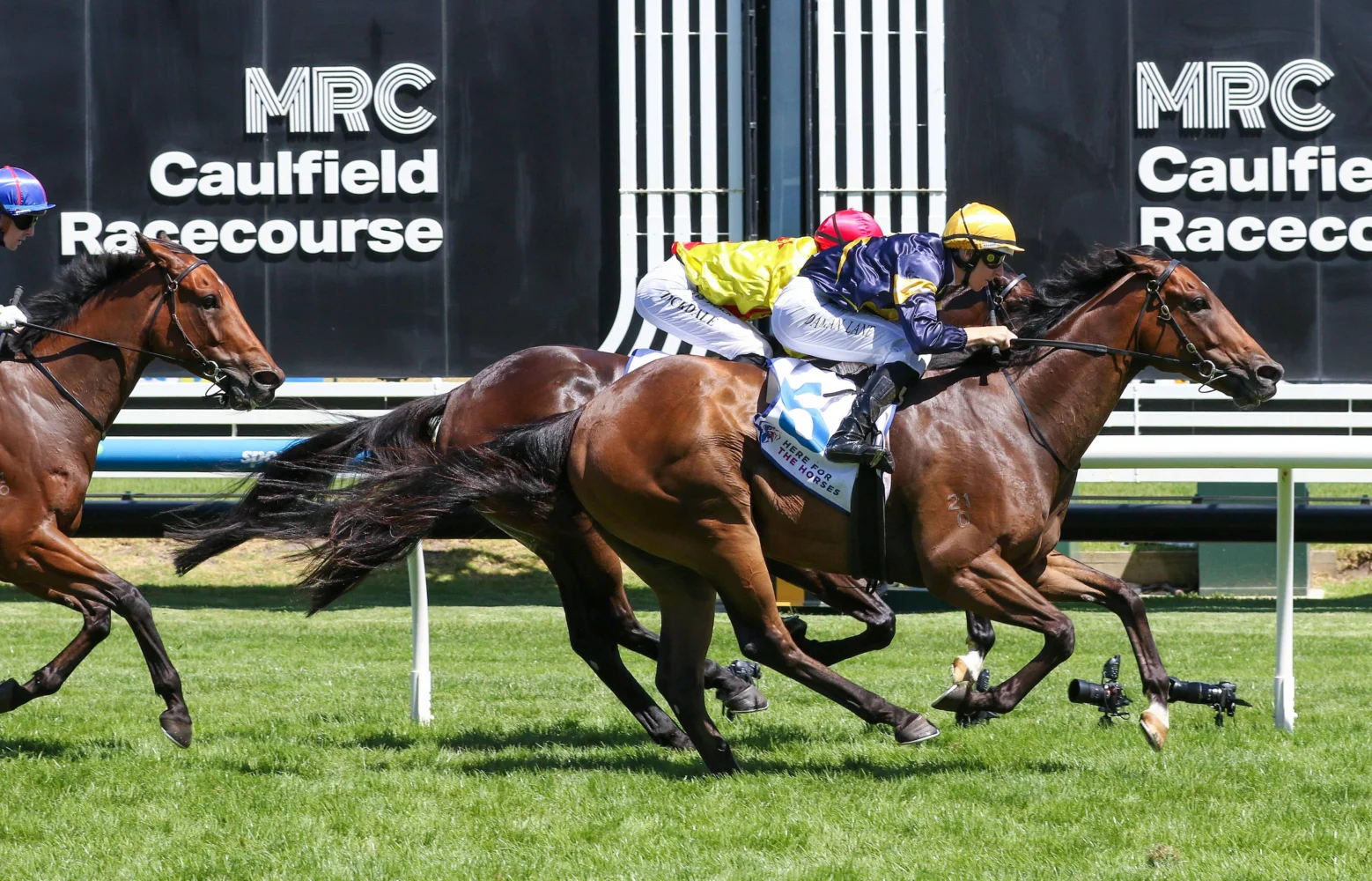 2026 Rubiton Stakes winner Oak Hill