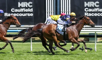 Oakleigh Plate 2026 Odds Tighten on Rubiton Stakes Winner Oak Hill