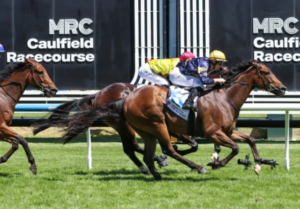 2026 Rubiton Stakes winner Oak Hill