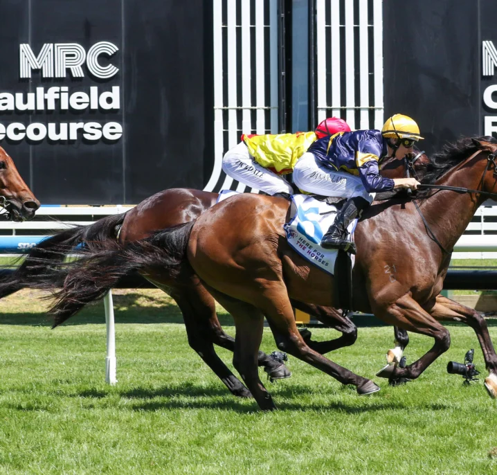 Oakleigh Plate 2026 Odds Tighten on Rubiton Stakes Winner Oak Hill